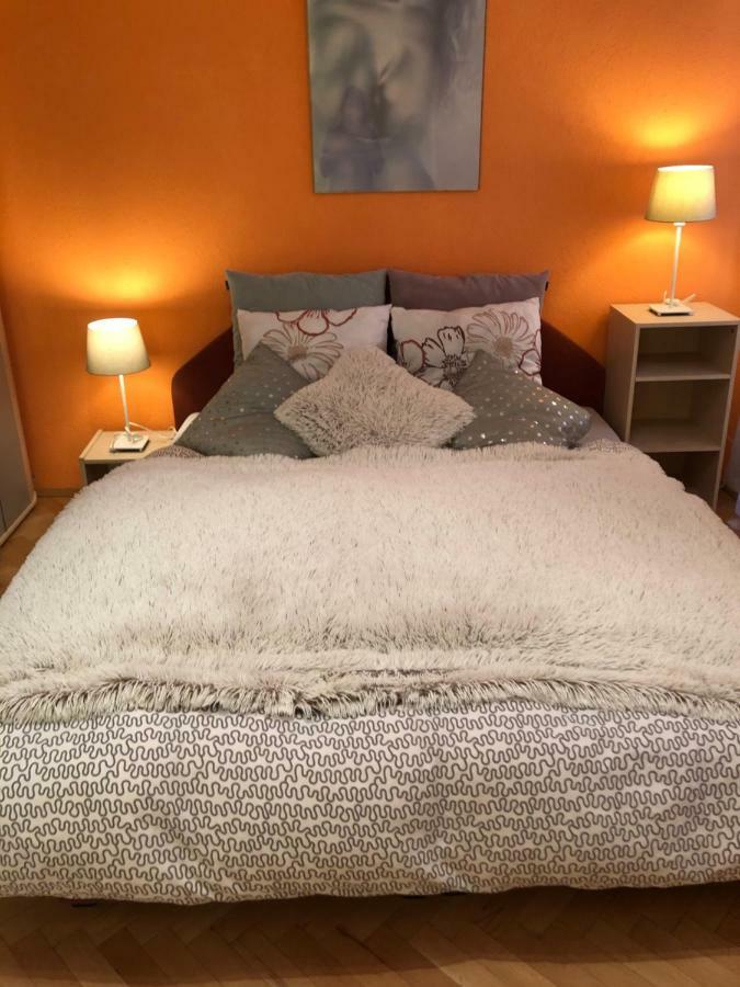 Apartman Orchidej U Vridla Karlovy Vary Extérieur photo