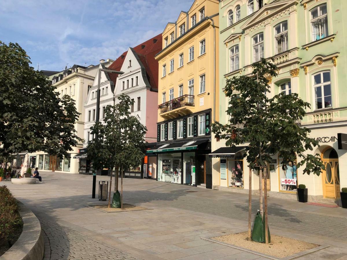 Apartman Orchidej U Vridla Karlovy Vary Extérieur photo