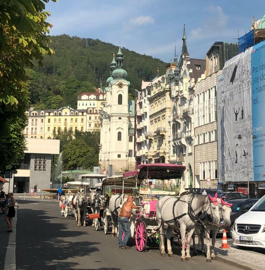 Apartman Orchidej U Vridla Karlovy Vary Extérieur photo